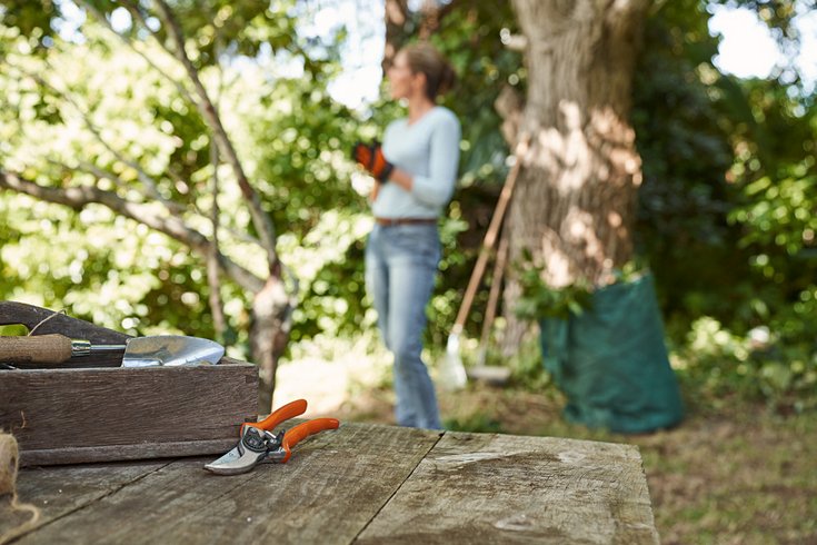Viljapuude ja marjapõõsaste kevadine hoolduslõikus